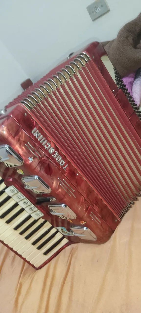 Acordeon todeschilli 80bx - Foto 2