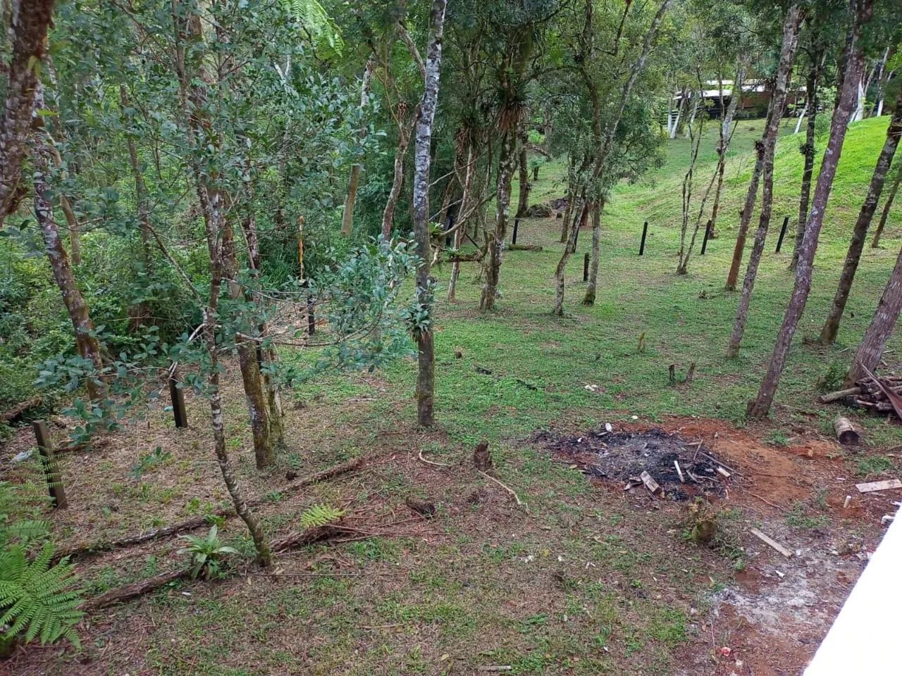 Chácara  - Foto 2