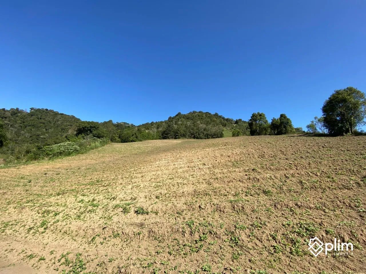 OPORTUNIDADE: Sítio com 40.000m² em Alfredo Wagner - Serra Catarinense - Foto 2
