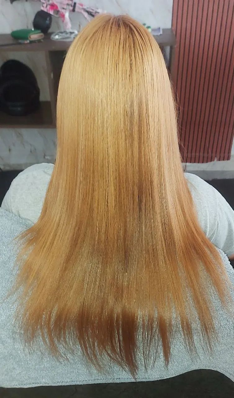 SELAGEM ORGÂNICA - Foto 5