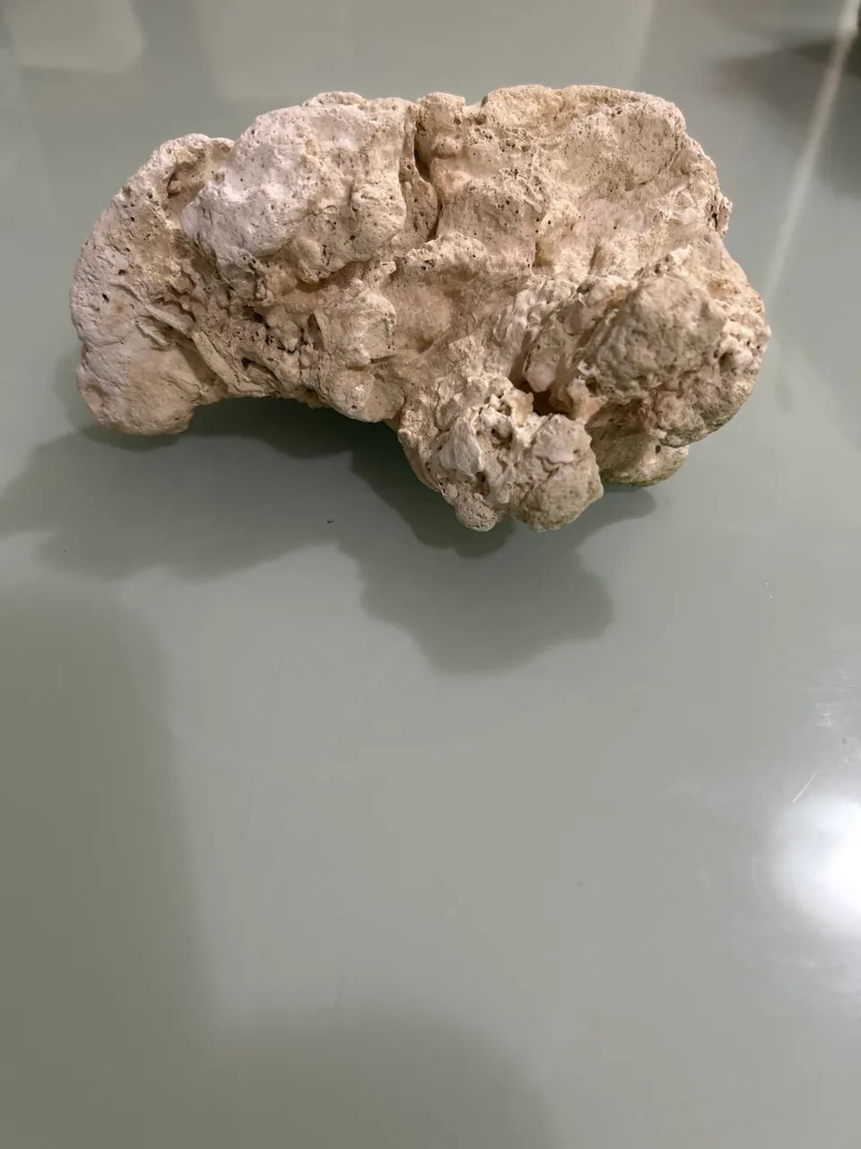 Pedra decora aquário 