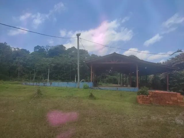 Chácara Campo Verde Porto Grande Amapá  - Foto 5