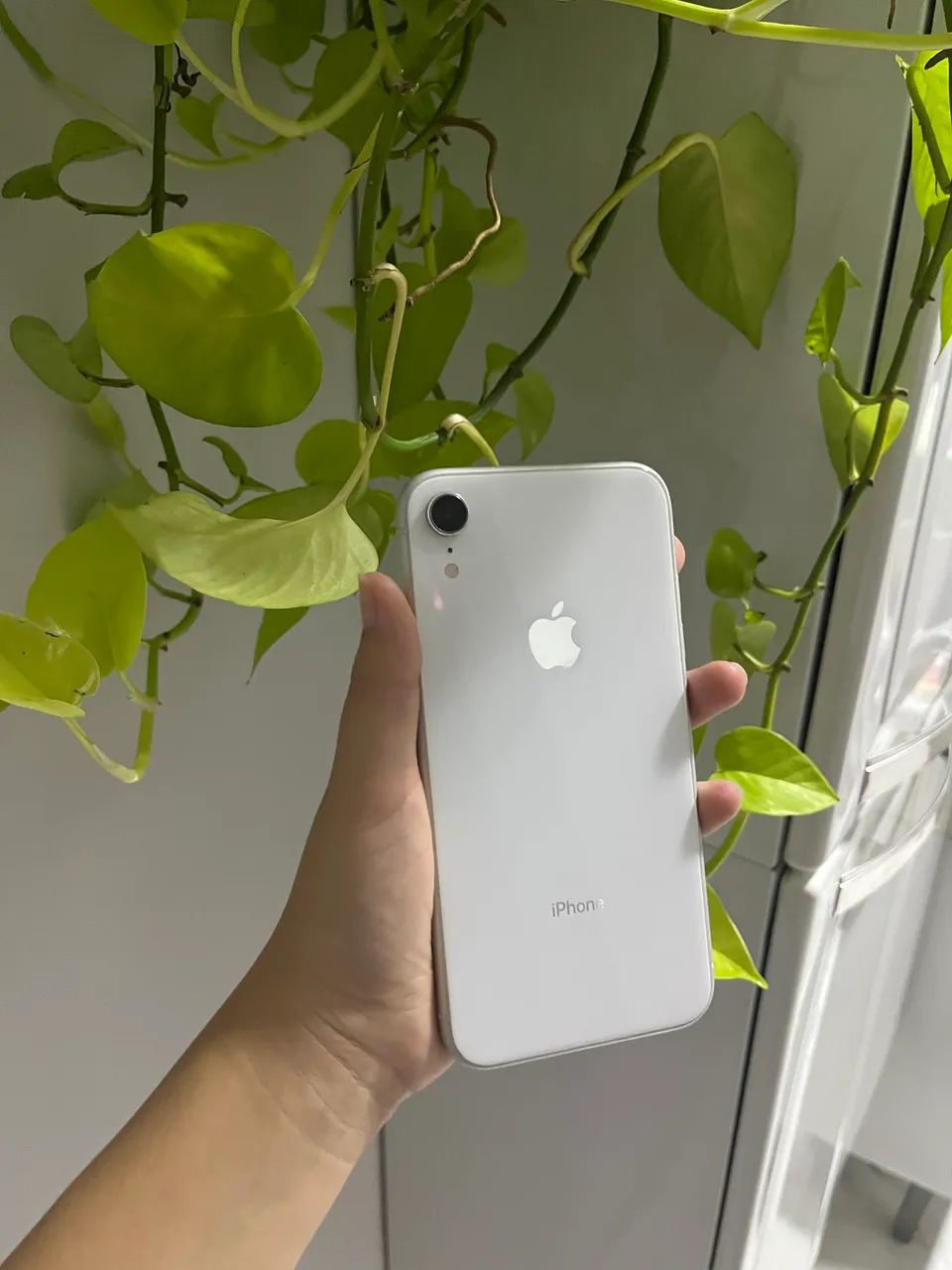  vende-se iphone xr 
