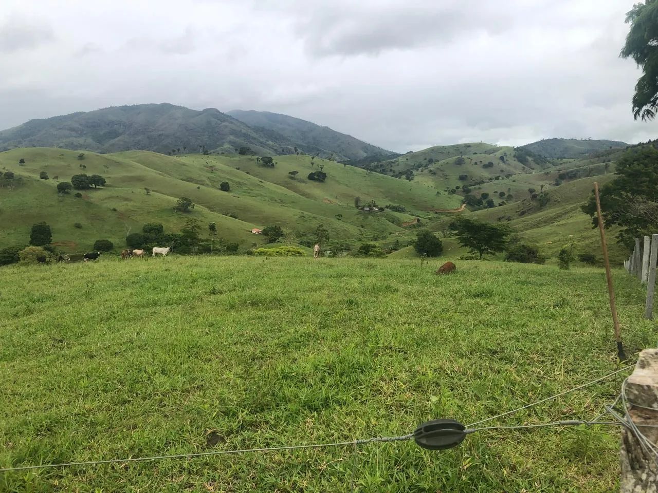 Terra a Venda em Itarantim  - Foto 2