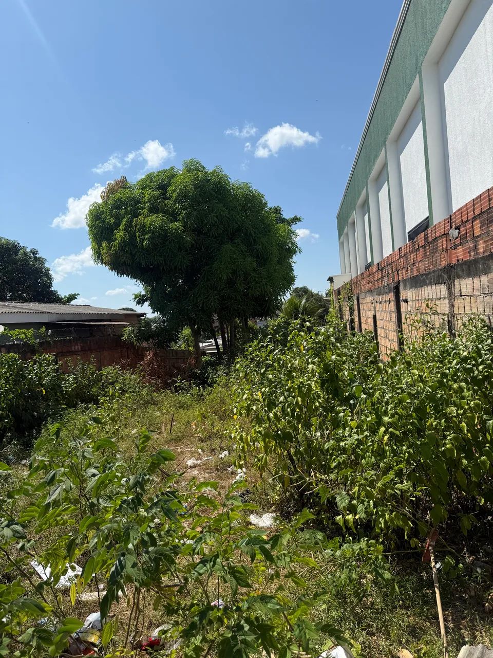Vende-se Terreno em Manacapuru - Foto 3