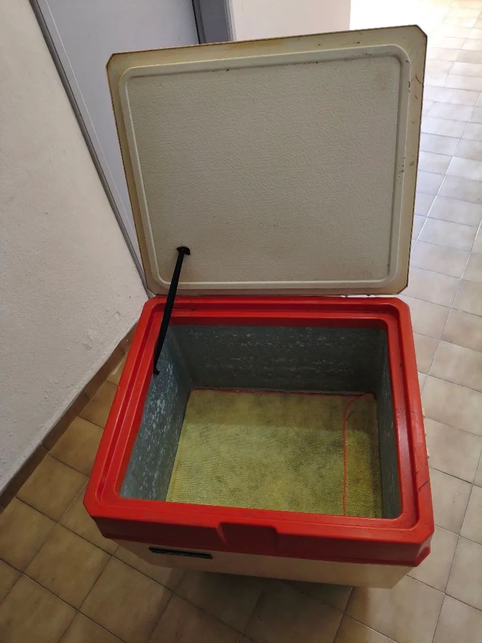 Freezer camping  - Foto 5