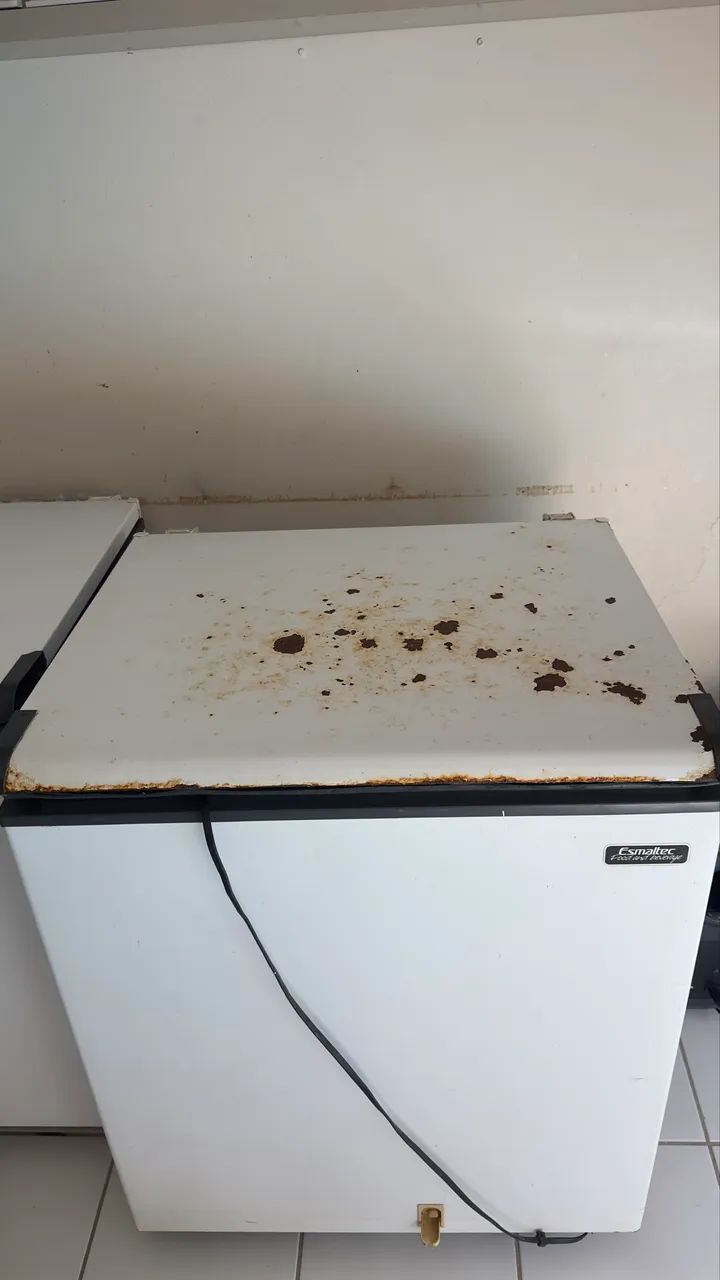 Freezer Esmaltec 214L