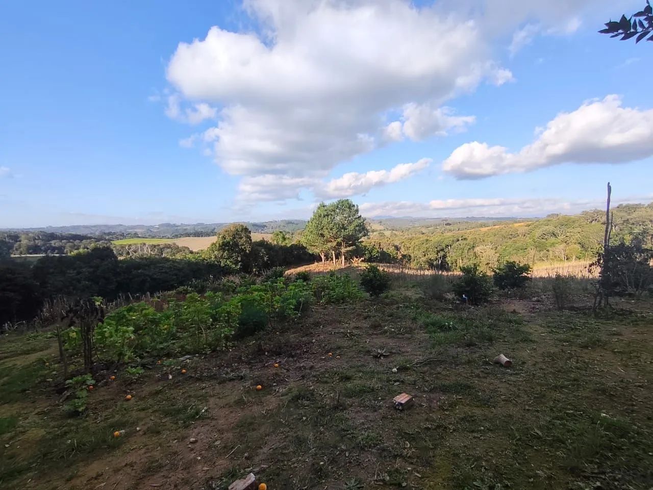 Chácara fazenda Rio grande  - Foto 2