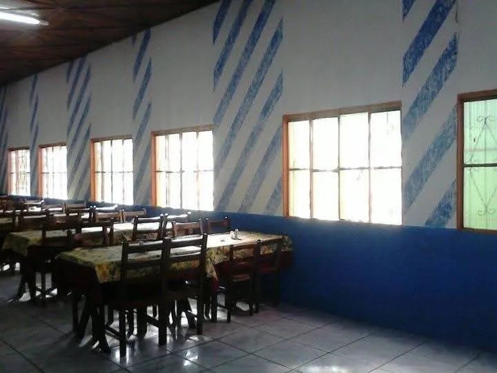 Pintor profissional  - Foto 3
