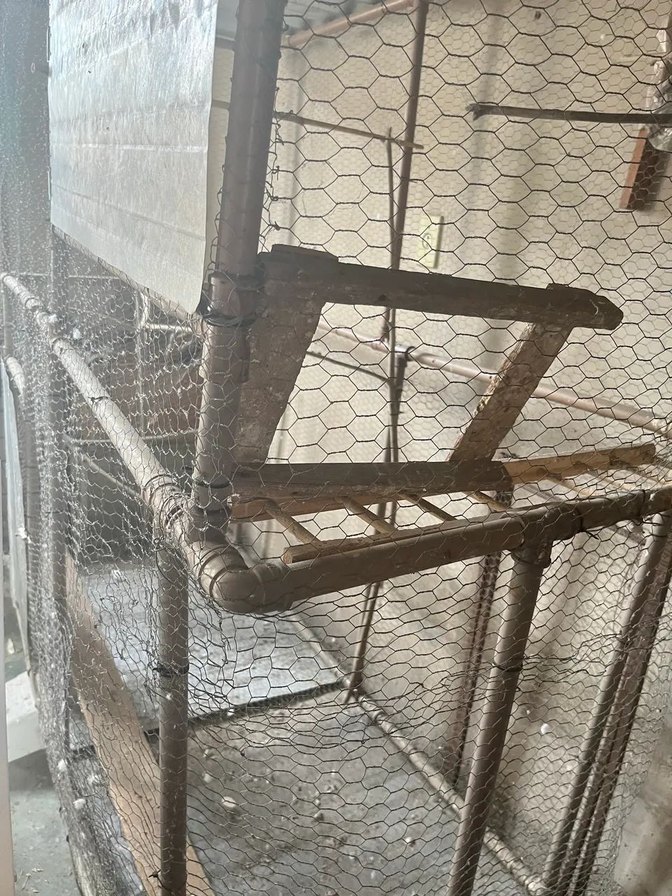 VIVEIRO ARTESANAL - Foto 3