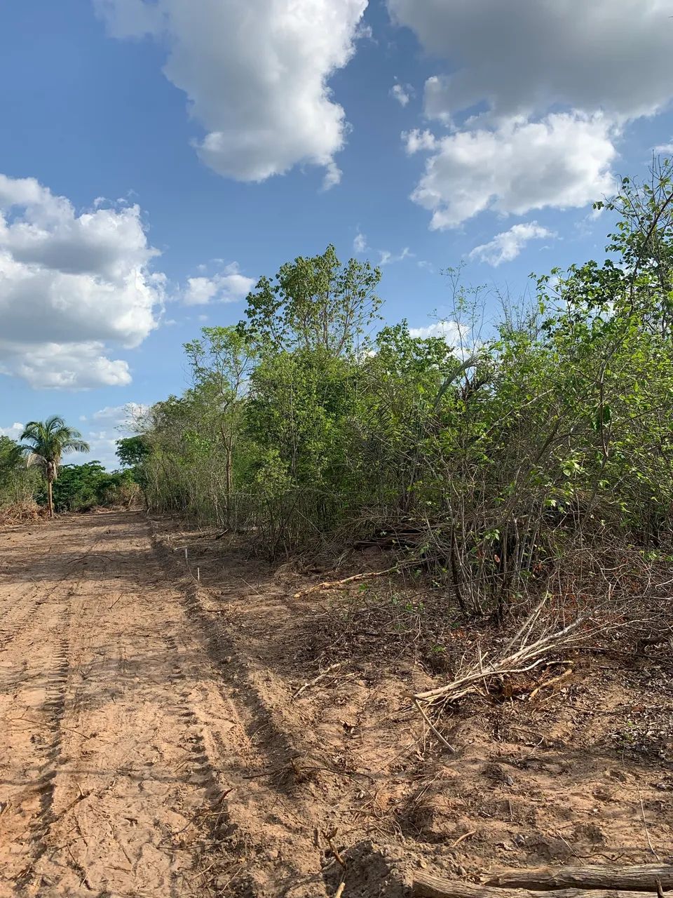 Terreno rural 10x40 metros . Valor R$1.500,00 avista ou 3 vezes no cartão  - Foto 5