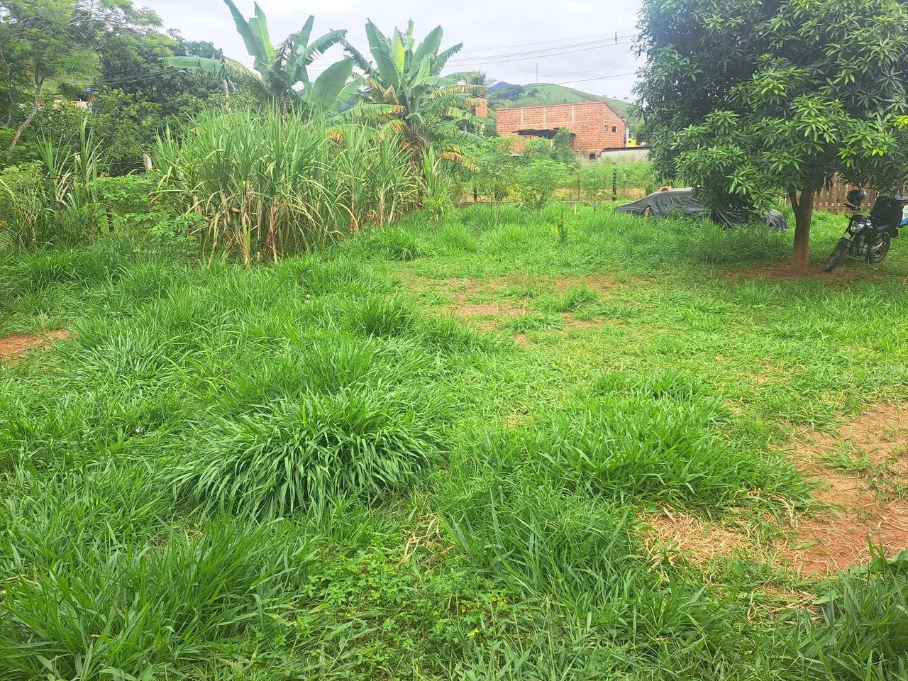 Roçada mecânica em terrenos, lotes e quintais. - Foto 2