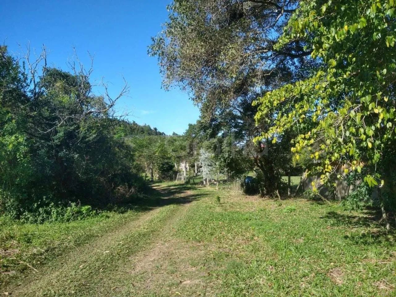 Terreno para Venda em Florianópolis, Ingleses do Rio Vermelho - Foto 4