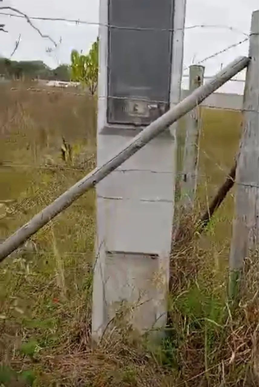 Vende se chácara no gravata - Foto 2