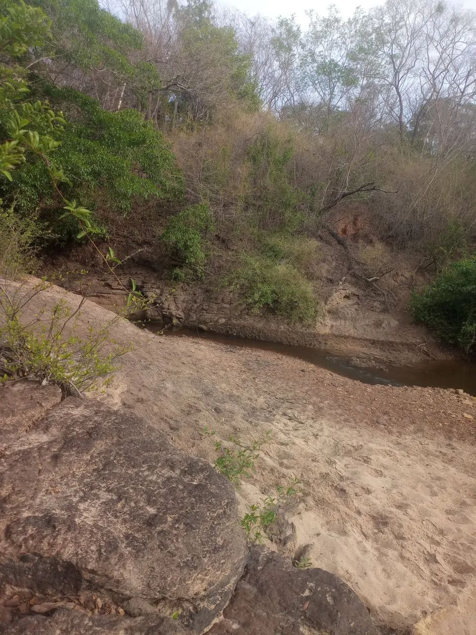 Vendo esta chácara com com acesso a dois rios passando dentro da terra - Foto 5