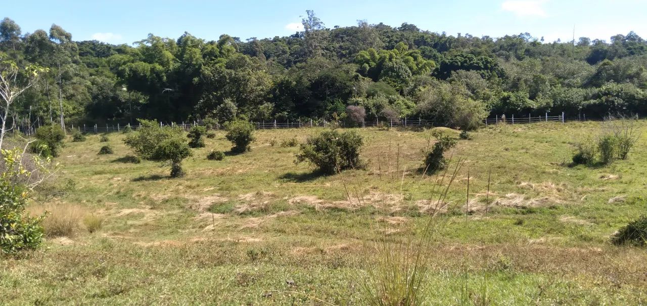 Sitio de 42000mts planos e gramados. - Foto 3