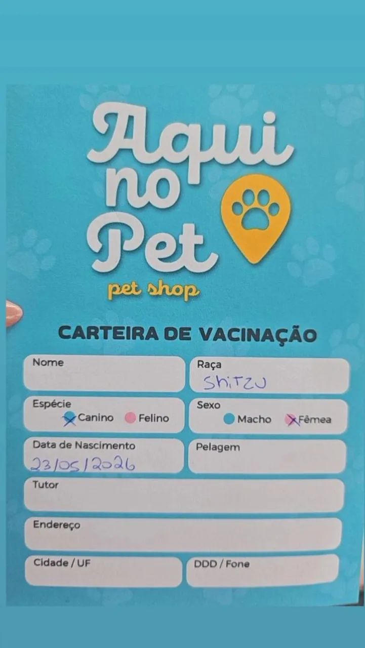 Cachorro Shit-Zu - Foto 2