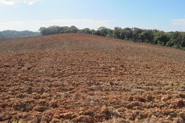 Área de planta 6 alqueires com água - Foto 8