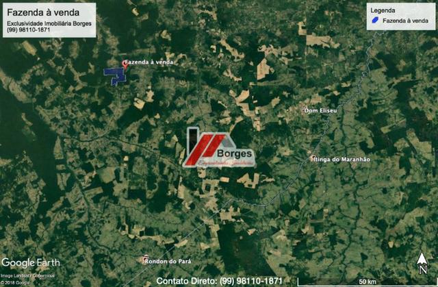 Fazenda de 610 Alqueires no Pará à R$ 28.000,00/HA - Foto 2
