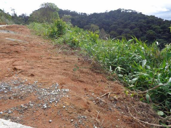 Terreno residencial à venda, Barra do Imbuí, Teresópolis. - Foto 4