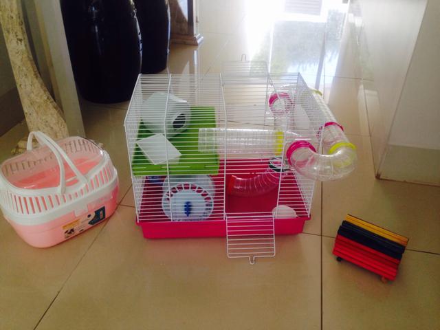 Gaiola para Hamster - Não aceito menos - Foto 2