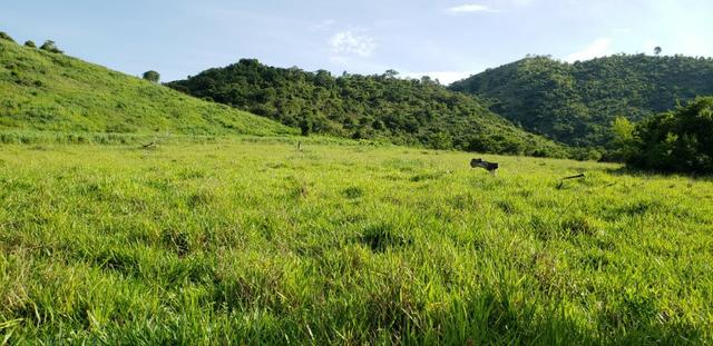 Fazenda 96,8 hectares - São Jose Safira, região de Governador Valadares/MG - Foto 6