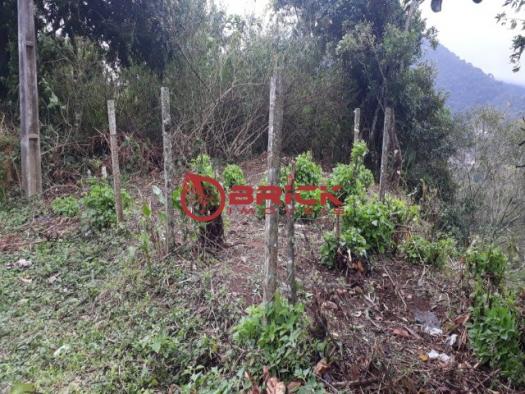 Ótimo terreno com 240 m² próximo a feirinha do alto. - Foto 2