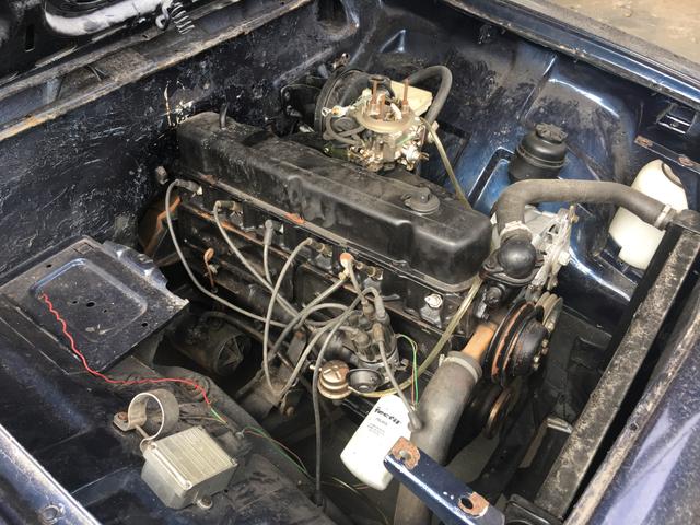 Opala - Foto 4