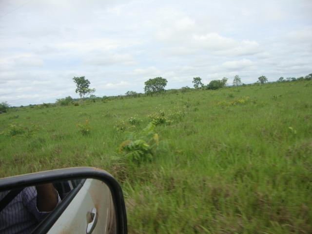 Sitio 27,00 Hectares barra do bugres-MT, Troca por casas em Tangará. Ótima localização, re - Foto 3