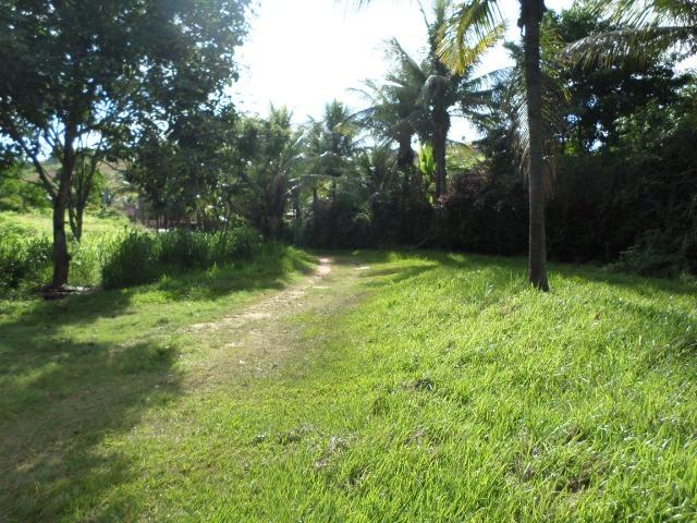 Lindo Sítio no Bairro Vista Alegre em Paty do Alferes - Foto 20