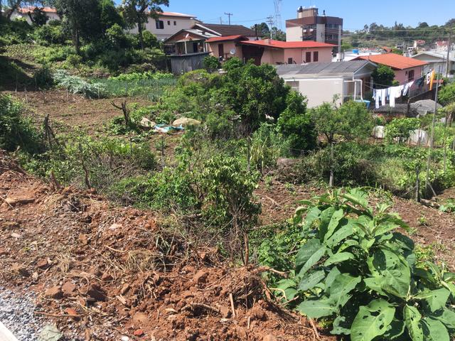 Terreno Panazzolo - Foto 5