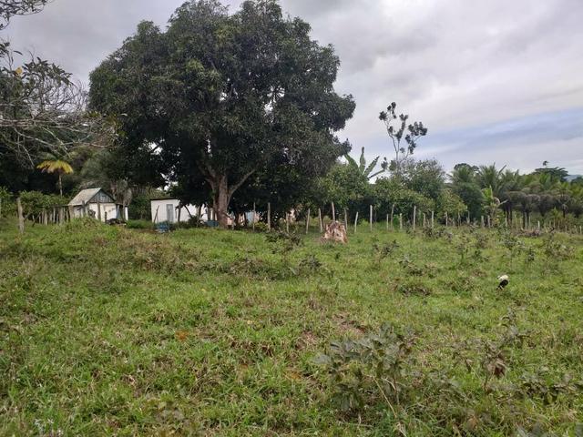Vendo sitio em Apuarema ba - Foto 6