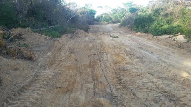 Fazenda de 7.000ha em Pilão Arcado - BA - Foto 13