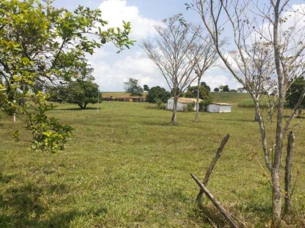 OPORTUNIDADE FAZENDA 116 TAREFAS - Foto 11