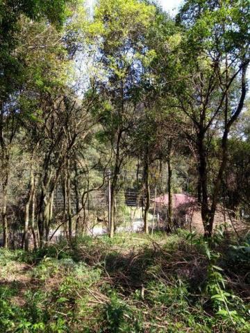 Inbox vende: terreno no vale dos vinhedos - Foto 4