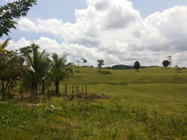 OPORTUNIDADE FAZENDA 116 TAREFAS - Foto 14