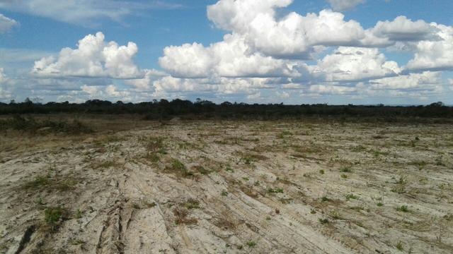 Fazenda de 7.000ha em Pilão Arcado - BA - Foto 10