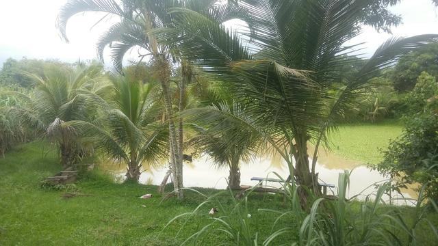 Sitio - Foto 6