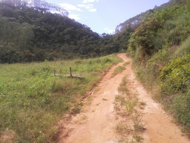 Domingo martins - Foto 6