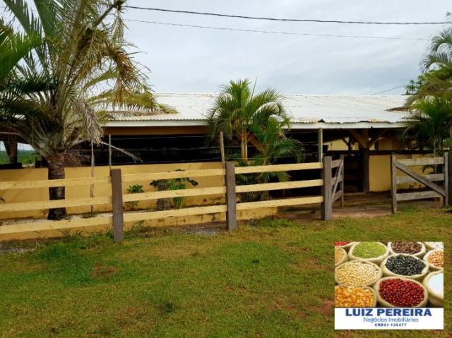 FAZENDA A VENDA DE 5.159 hECTARES EM BONITO - MS (Dupla aptidão) - Foto 11