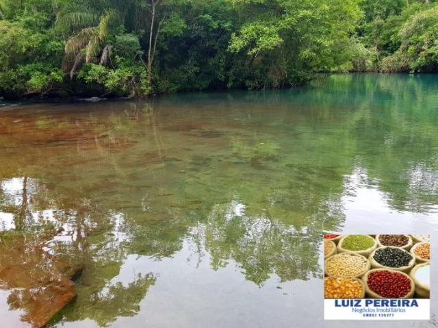 FAZENDA A VENDA DE 5.159 hECTARES EM BONITO - MS (Dupla aptidão) - Foto 12