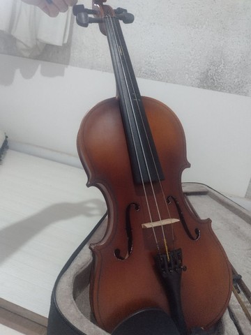 Violino