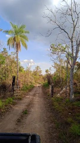 Fazenda em Dianopolis-TO. 23 mil por alqueire.