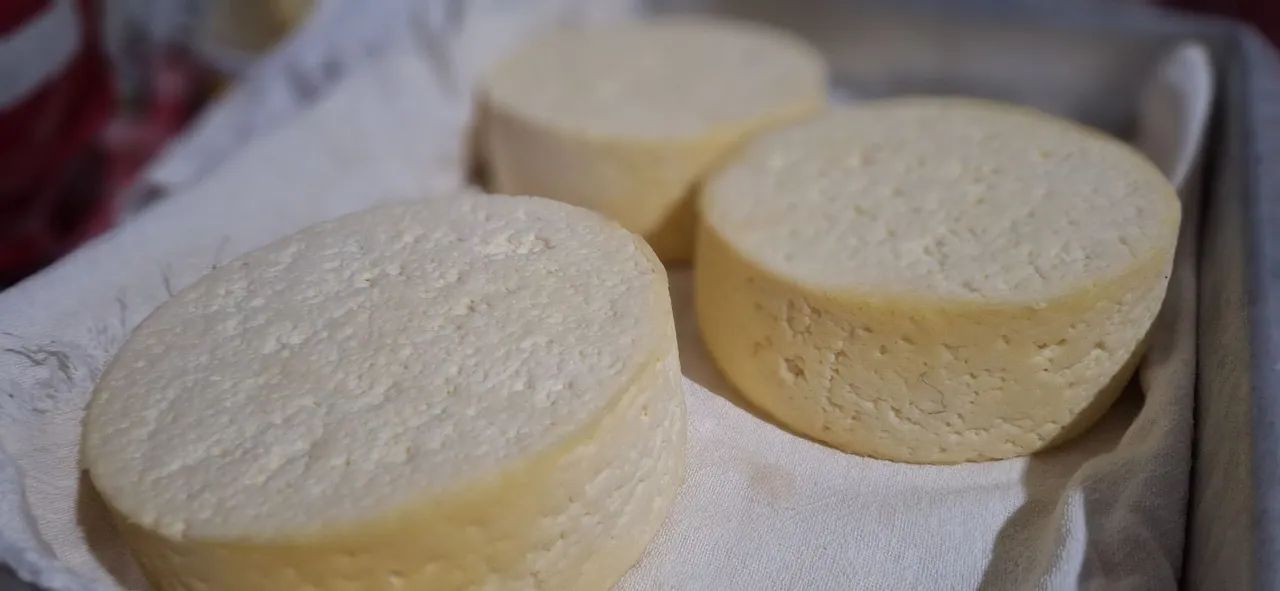 Queijo fresco artesanal - Produção própria - Foto 2