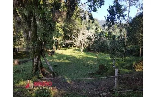 Sitio, bairro Betânia, Angelina - SC - Foto 3