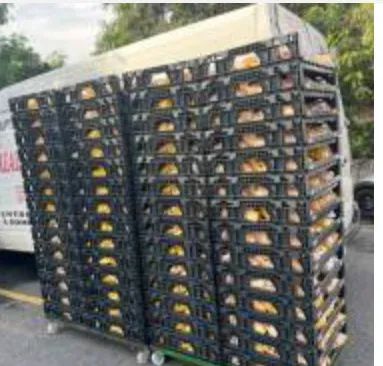 Caixa plástica para pao  - Foto 5