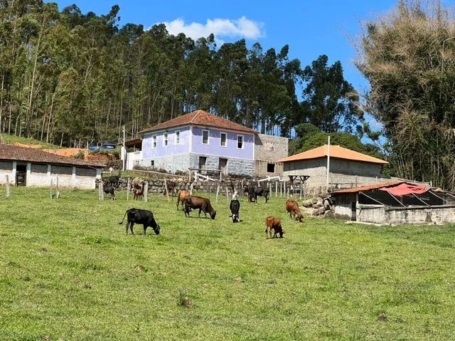 Sítio à venda, 5 quartos, Zona Rural - Santa Rita de Caldas/MG - Foto 2