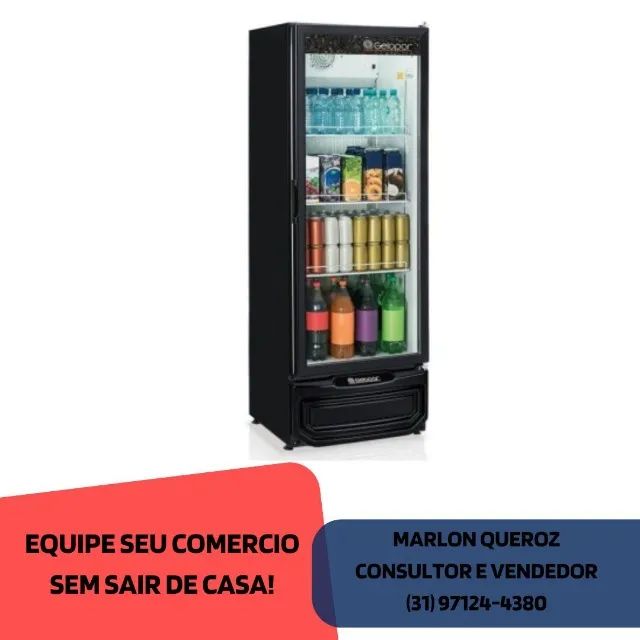 Expositor Refrigerado Gelopar 410 Litros 
