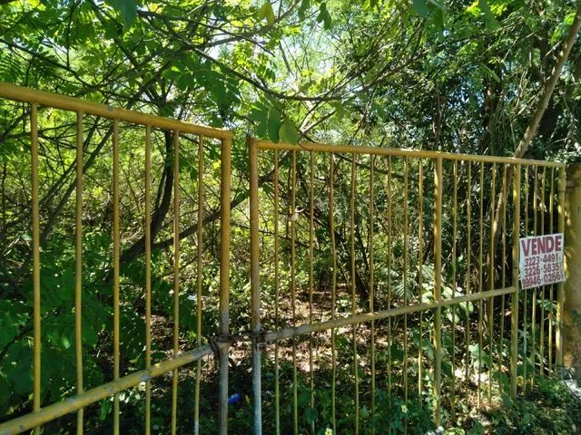 Lote para aluguel, Três Andares - Teresina/PI - Foto 4