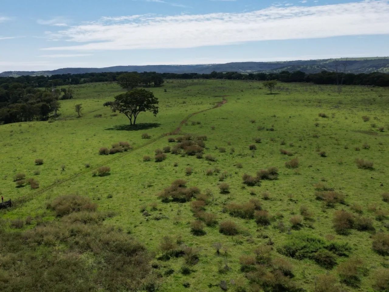 Fazenda em tupaciguara  - Foto 3